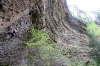 Red River Gorge - Easter 2011
