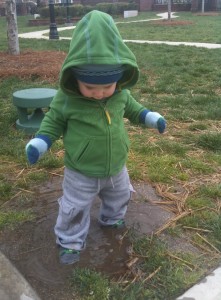 081