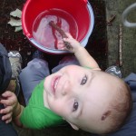 Green Hour Connection: Buckets of Fun!