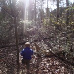 Green Hour Connection: Woodsy Wonderland