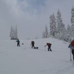 Guest Post: Backcountry Babes and Betties