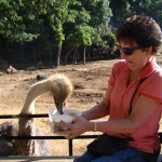 A Local Haunt: Lazy 5 Ranch