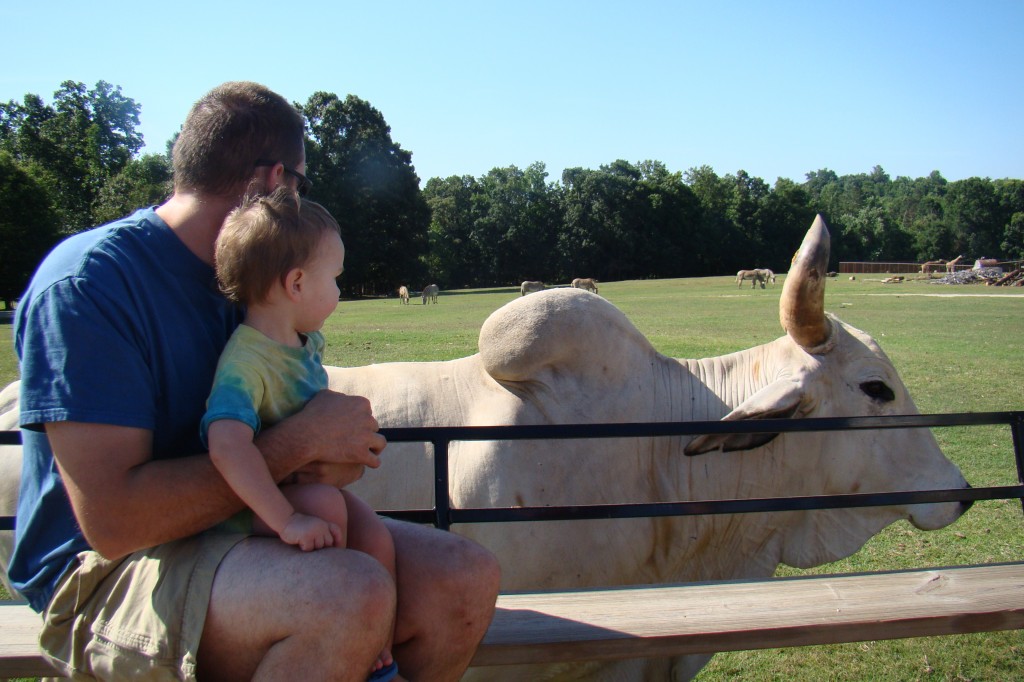 Moore's and Lazy 5 Ranch 218