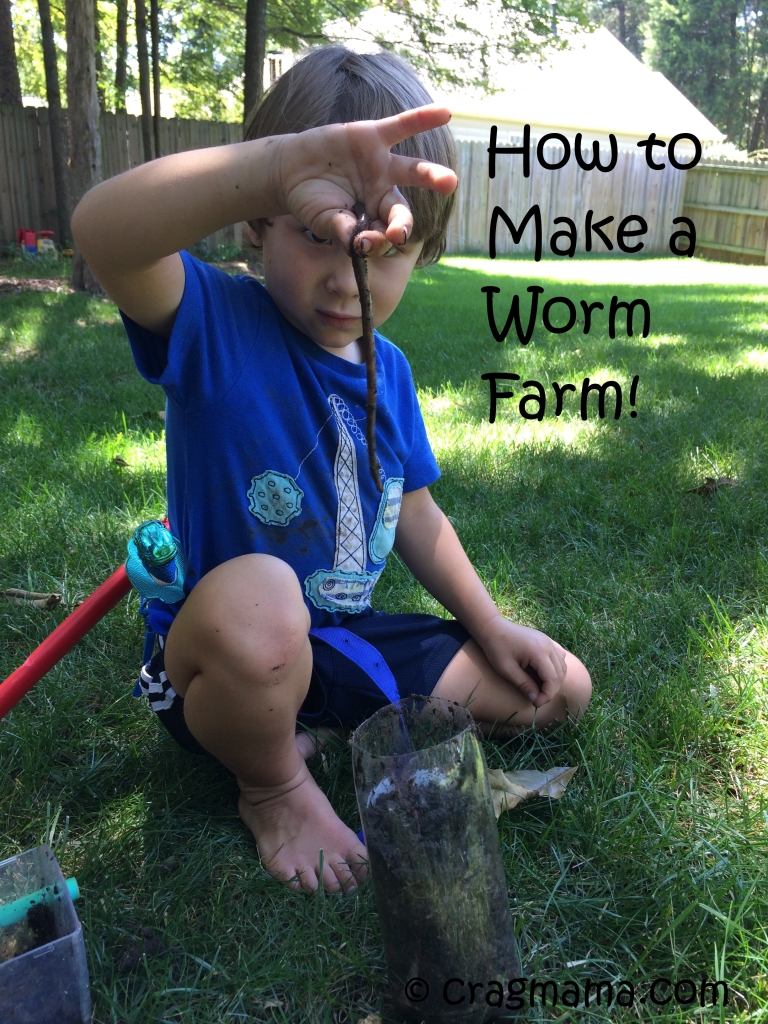wormfarm