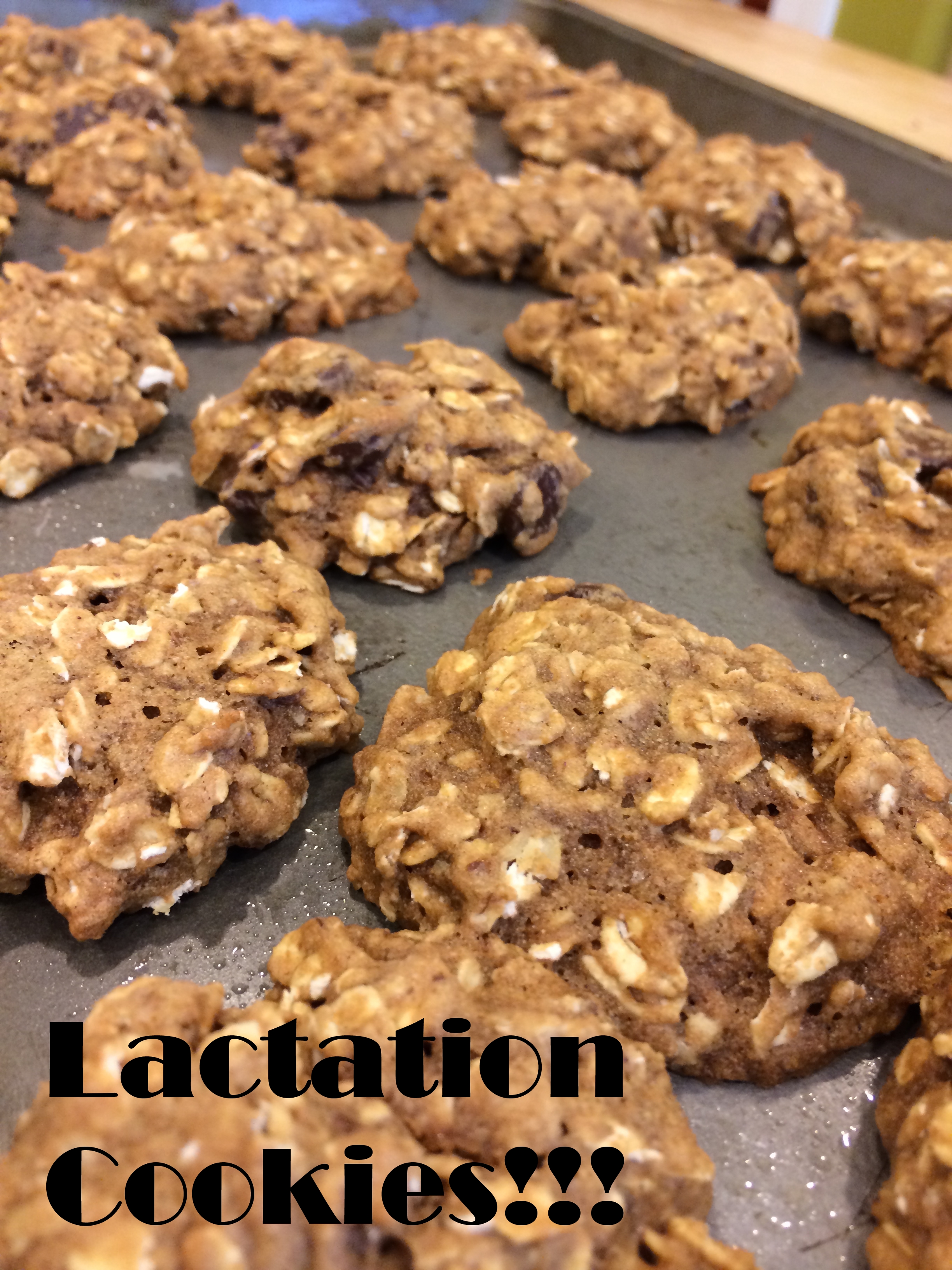 Lactation Cookies Got Milk? Cragmama
